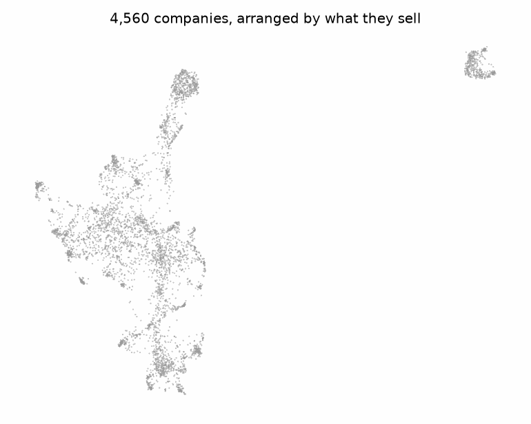 Animated reveal of company clusters